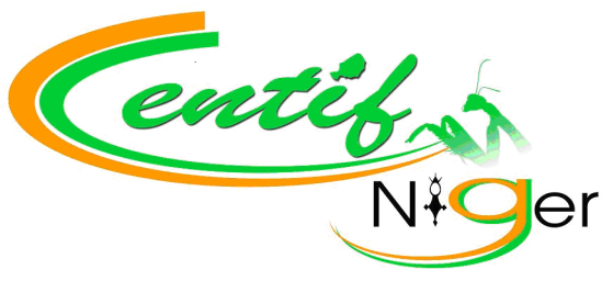 CELLULE NATIONALE DE TRAITEMENT DES INFORMATIONS FINANCIERES